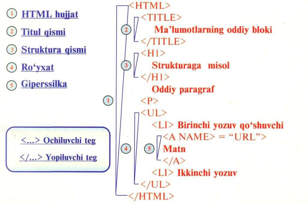 HTML - hujjatni gipermatnli belgilash tili HTMLhujjat Hujjatsarlavhasi Hujjatmavzusi HTMLhujjatningyoyilganstrukturasi Element (element) HTML tilining tuzilmasi bo lib, har qanday Websahifa shunday