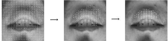 Figure 3: Movement filter processing. y u s y d s Figure 5: Mouth tracking example. Figure 4: Details of mouth tracking complex movements near the contour.