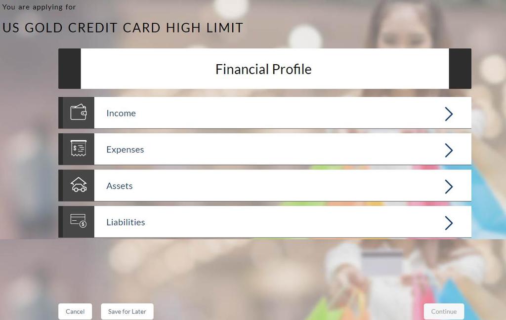 3.10 Financial Profile This page comprises of multiple sections in which you can enter your financial details in the form