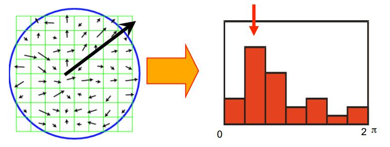 Rotation/Illumination invariance Canonical orientation is peak of orientation histogram over entire
