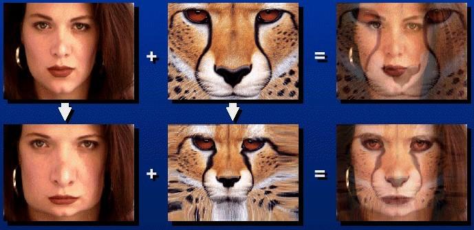 Image morphing overview For each image Ct compute.