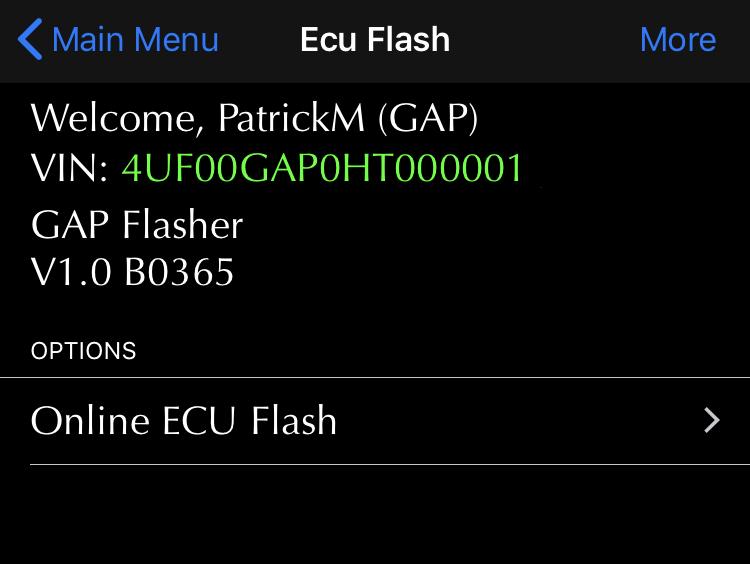 3.3 Updating the engine ECU Steps 1- Perform the initial stages of access (section 2.6) 2- Select the ECU Flash function 3- Select Online ECU Flash Figure 15.
