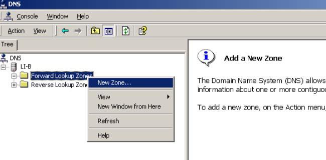 Right-click Forward Lookup Zones, select New Zone, and then follow the