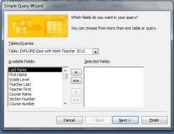 ) The wizard begins the process of asking what type of query you need to filter your data.