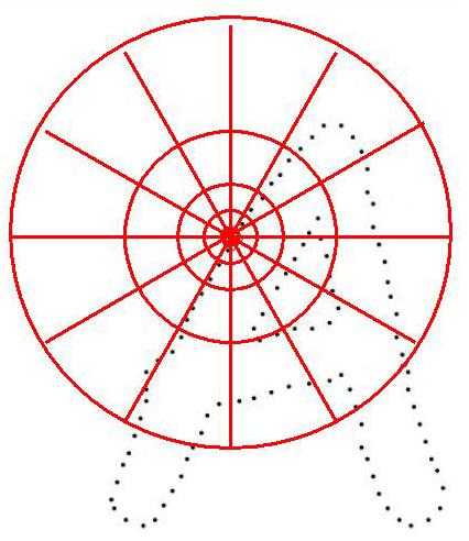 Shape contexts The points are classified by their positional relation to the other points in the image.