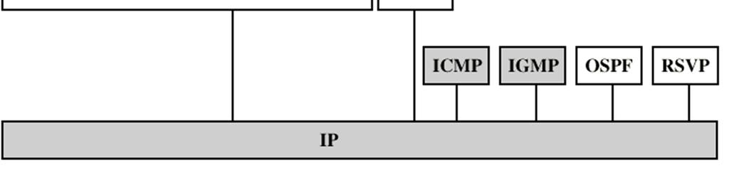 Internetworking Protocols TCP/IP stack