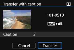 Select [Transfer with caption]. The last image played back is displayed. Set a caption.