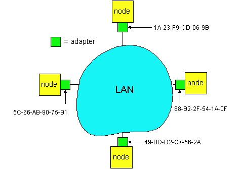 LAN Addresses 32-bit IP address: network-layer address used to get datagram to destination network (recall IP network definition) LAN (or MAC or physical) address: to get datagram from one