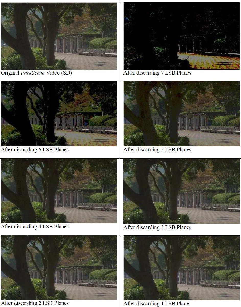 5: ParkScene (1920x1080, 240 frames)