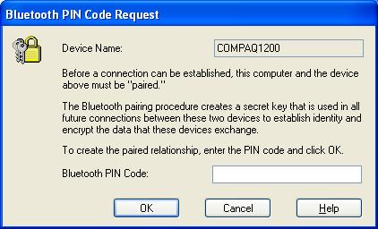 15. Now you can access the Internet via Bluetooth.