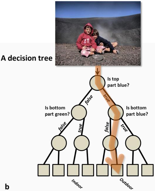 A Binary Decision Tree binary tree: each node has either 2 children or 0 children From Criminisi et al.