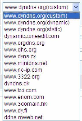 Dynamic DNS: Default is disabled. Check Enable to enable the Dynamic DNS function and the following fields will be activated and required.