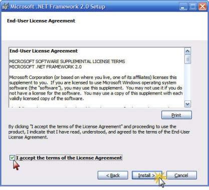License Agreement, tick the box if