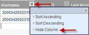 If you want to add a column, do the following: In Grade Center, click Create Column. Complete the Column Information, Dates and Options.