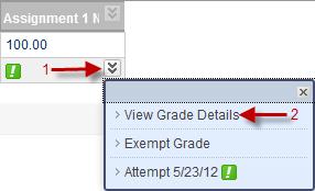 Give a name, click Range radio button and change Start Date and End Date. select View Grade Details. Click View Attempt Click Submit button.