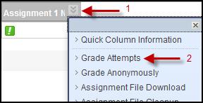 Update and Regrade: It allows you to reassign points to an assessment and update students grades automatically. Click small drop-down arrow of a grade column and select Edit Test.