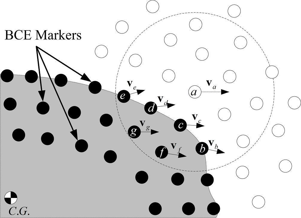Figure 1: BCE and fluid markers, key for the coupling between fluid and solid, are represented by black and white circles, respectively. A section of the rigid body is shown herein as the gray area.