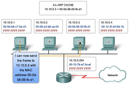 Maintaining the ARP Table There are 2 ways that a device can gather MAC addresses. One way is to monitor the traffic occurs on the local segment. Another way is to broadcast an ARP request.