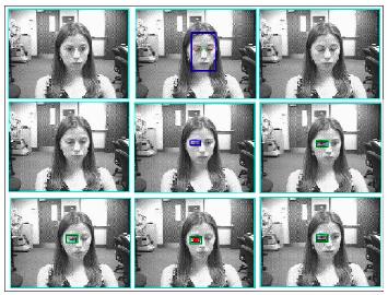 automatically located by searching temporally for "blink-like" motion  performing eye detection through model matching using a similarity measure intensity-based methods (