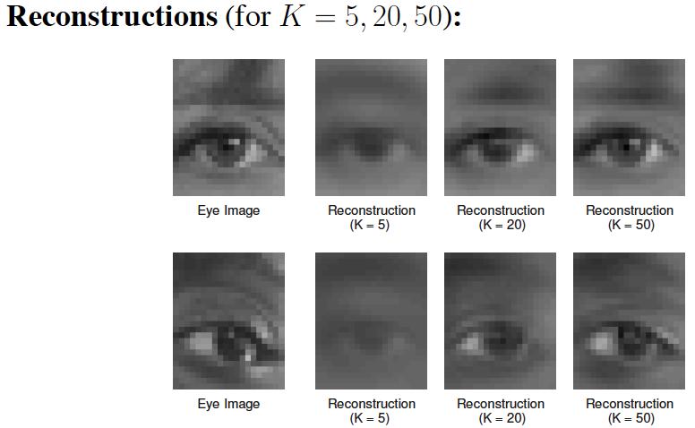 //eye models Appearance-based methods: rely on models built directly on the appearance of the eye region: template matching by constructing an image patch model and performing eye detection through