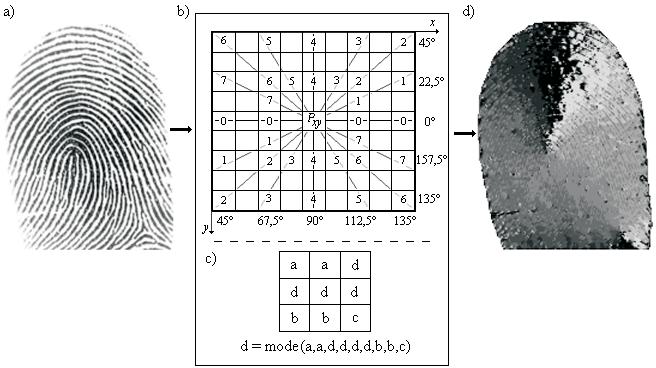 ages with dark background. In presented implementation, fingerprint images have had dimension 512 512 and with density 500 dpi have been scanned.