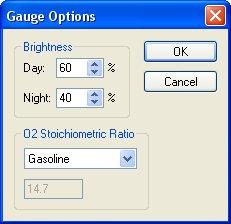Setting Gauge Brightness Click the Gauge Options button at the bottom of the Inputs screen to launch the Gauge Options dialog. 1. Set the day and night brightness by clicking the up down arrows.