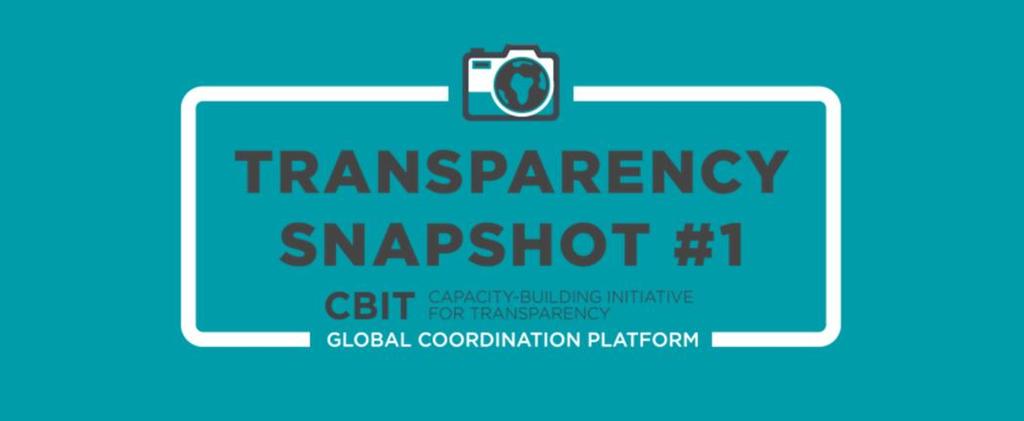 Transparency Snapshots The purpose of the snapshot is to promote best practices for climate transparency through knowledge sharing.
