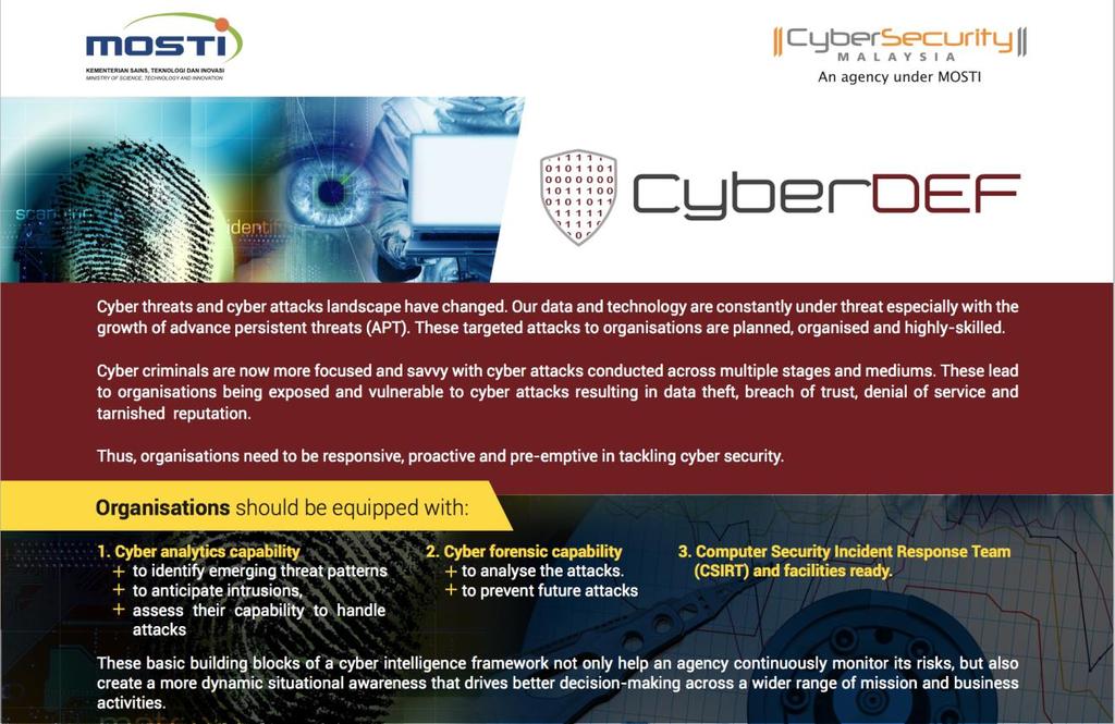 The way forward: CyberDEF services