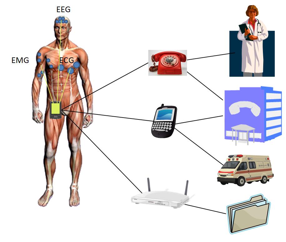 Body Area Networks (BAN) Bio-Medical EEG Electroencephalography ECG Electrocardiogram EMG Electromyography (muscular) Blood pressure Blood