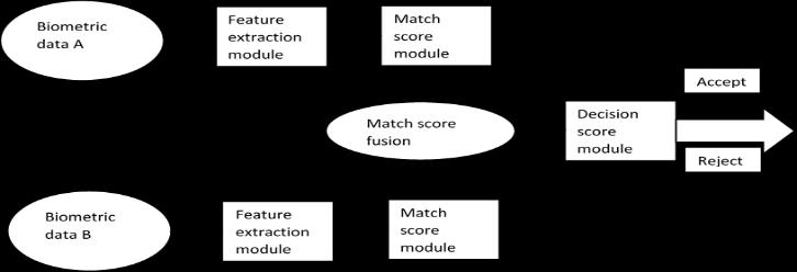 fingerprint feature vectors from left and right hand; and (c) Feature vectors generated from multiple biometric traits. Fig. 2. Below shows the feature level fusion. [9] Fig. 2. Match score level fusion Fig.