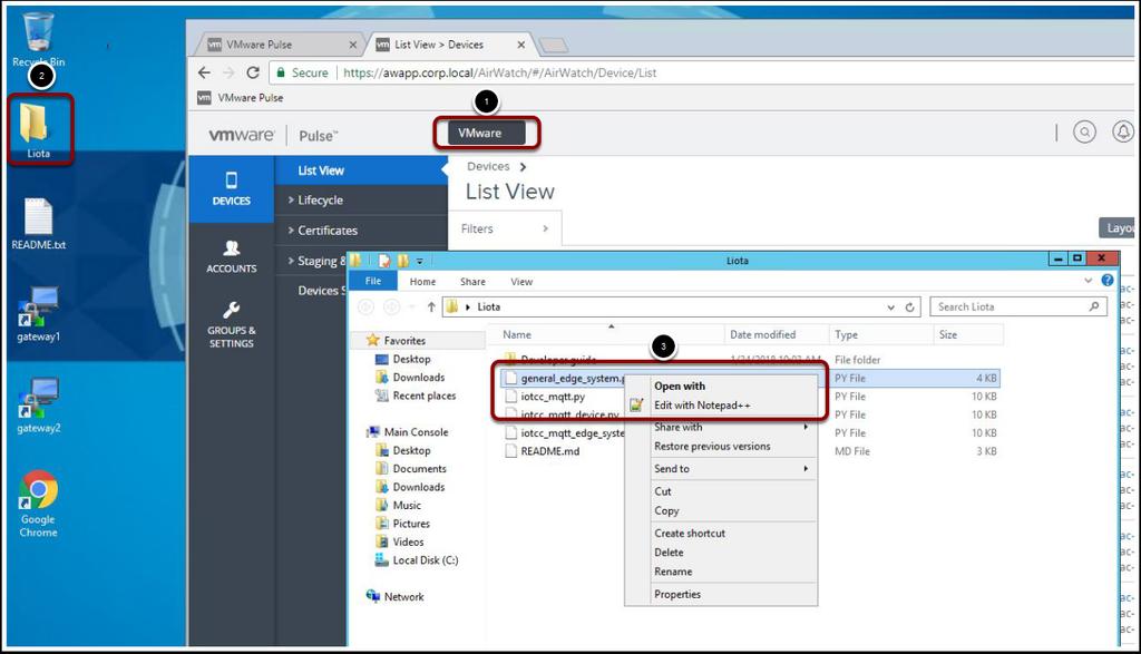 Configuration Files Now you are in the organization named VMware. 1. Verify that the top header says VMware. 2. Double-click on the folder named Liota on the Desktop to open it.