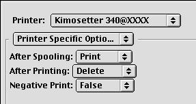 Select Printer Specific Options from the pop-up menu. After Spooling: Set what to do with the job after adding it into the Print Monitor. When the job is set to Hold, RIP processing will not commence.