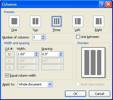Columns (cont d) Or, you can choose More columns and a dialogue box such as this one will pop up giving more control over the columns.