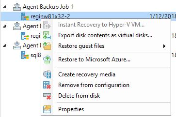 Recovery options Bare metal recovery Export as virtual disk Instant recovery to