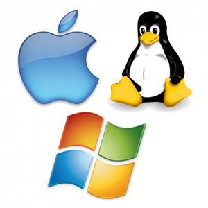 Operating Systems The biggest decision is choosing an operating system Once you pick an OS, you are