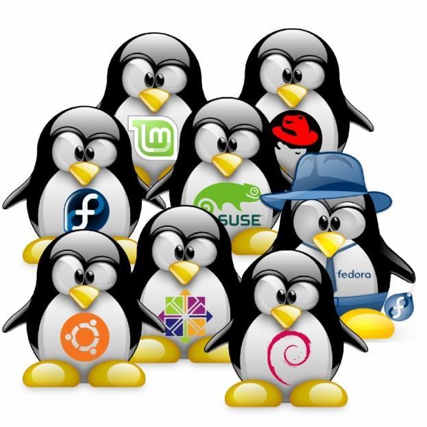 Linux Powerful and sophisticated operating system that is FREE!