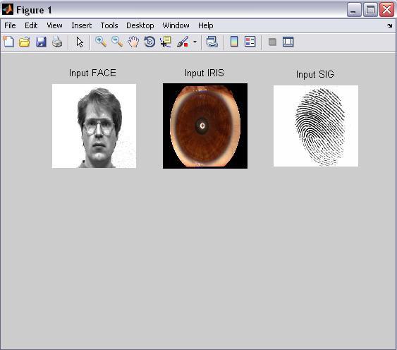 Figure.6 Sample of the virtual multimodal database for Thumb Impression Figure 7: Input image to be recognized Fig 7 is the input image or the query image that is to be tested.