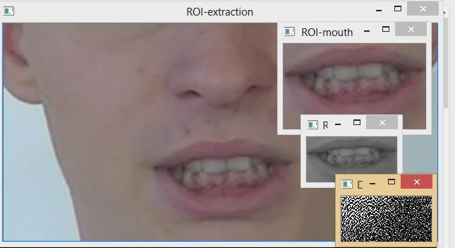 Fig. 4: Mouth region and low-level, image-based features extraction (DCT) framework. As a result we are gathering rectangle area with varying size, which is later processed.