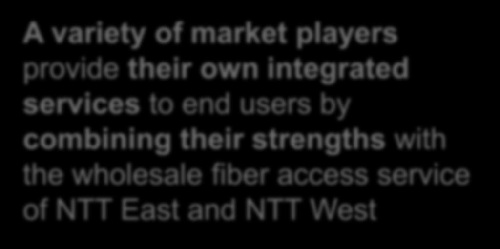 provide fiber access services to end users.