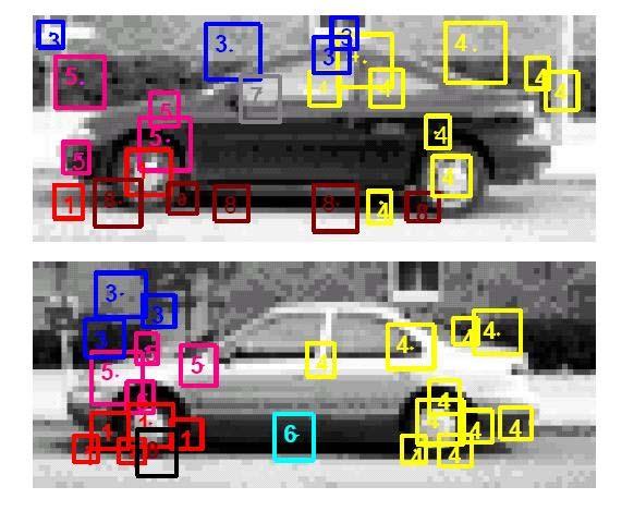 scale on the car side data set: in this data set the images were too small and without this adjustment the detector would fail to find a significant amount of features.