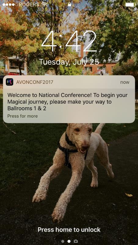 Be sure to select Allow when your phone asks if the Avon Conference App can send you Notifications 4 Notifications Keep your eyes out and your phone close; you ll
