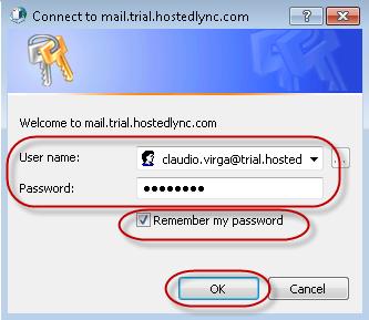 You will then be presented with a username and password prompt to authenticate the email account. In the User name field, type your Hosted Exchange email address.
