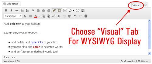WordPress Visual Editor Buttons Explained If you have used a text editor like MS Word before, then the WordPress visual editor interface should seem quite familiar to you Here is a brief description