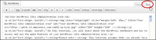 5. Text Editor Tab Click this tab to view and work with the code behind your content.