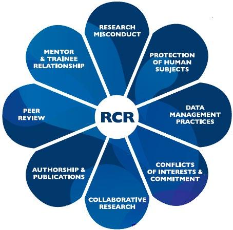 RCR defined: ANIMAL RESOURCES RCR is defined as the practice of scientific investigation with integrity.