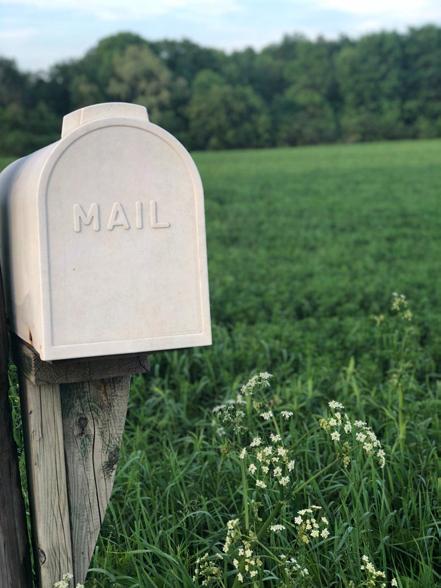 Stay Connected Depending on your business size and needs, emails should not be so frequent that recipients opt out.