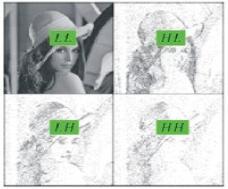 2.3 2-D Discrete Wavelet Transform (DWT) Wavelets have been used quite frequently in image processing.