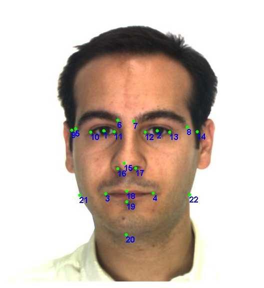 Fig. 3. Faces with artificial occlusion Shape Error Se 3 2 1 1 2 3 2 4 6 8 1 12 14 Fig. error Fig. 4. 4. shapeshape error ECCV-1 submission ID 1385 hat.4 E ASM.3.2.1 5 1 15 2 25 hand.4 E ASM.3 Fig. 3. Faces with artificial occlusion.2 We compare our algorithm with the Milborrow s extended Active Shape Model [14], which was reported better performance than traditional ASM methods.