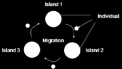 Island GA Let multiple populations evolve in separation; every now and then, move individuals between islands.