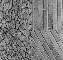 (e) texture pair (brick, bark) consisting of rotated